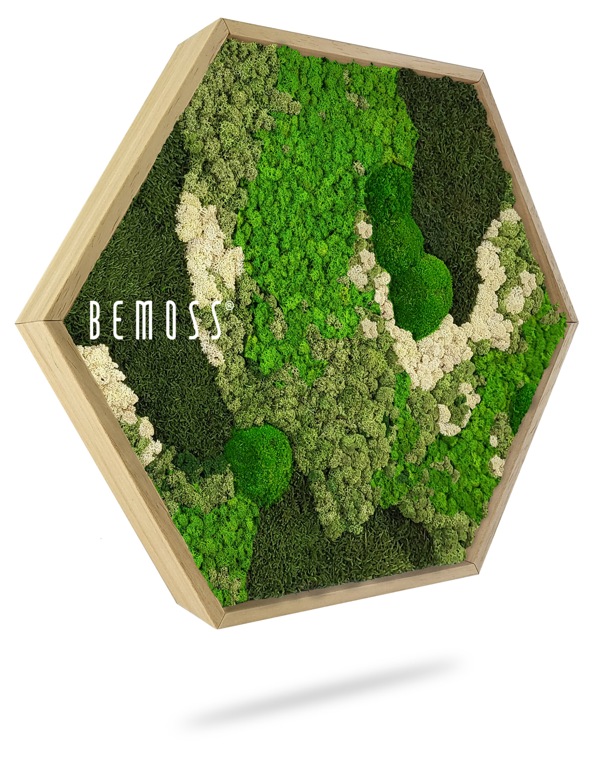 Moss Hexagon BEMOSS® ORTHO GREEN | BEMOSS