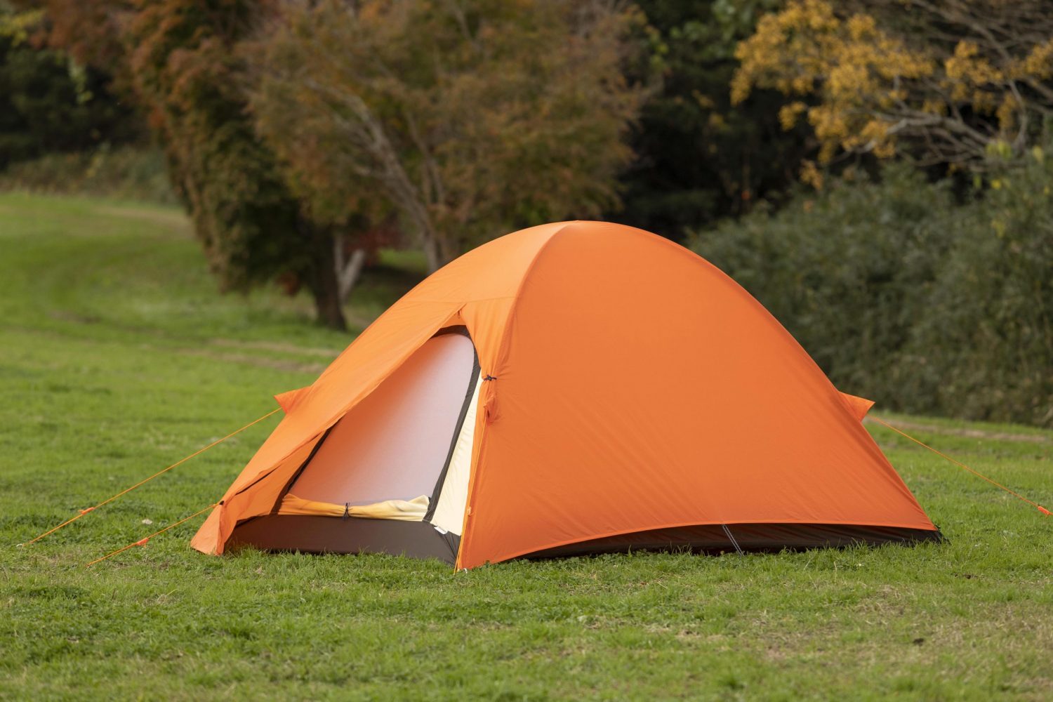 RIPEN (ライペン) ／ エアライズ2 | 道具・ギア 【BE-PAL】キャンプ