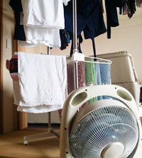 新林の滝（森林の滝）空気清浄活性機 特典付き 速攻発送