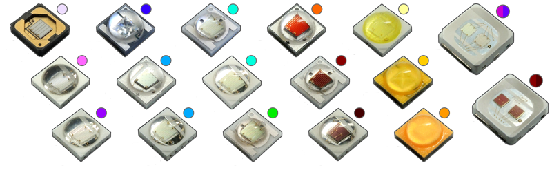 バイタルウェーブ/VitalWave｜ブルーハーバー