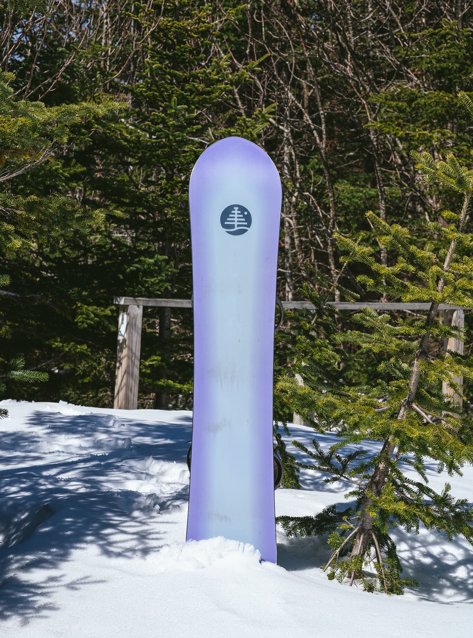 Burton Family Tree Wave Tracer Flying V Snowboard | Burton.com