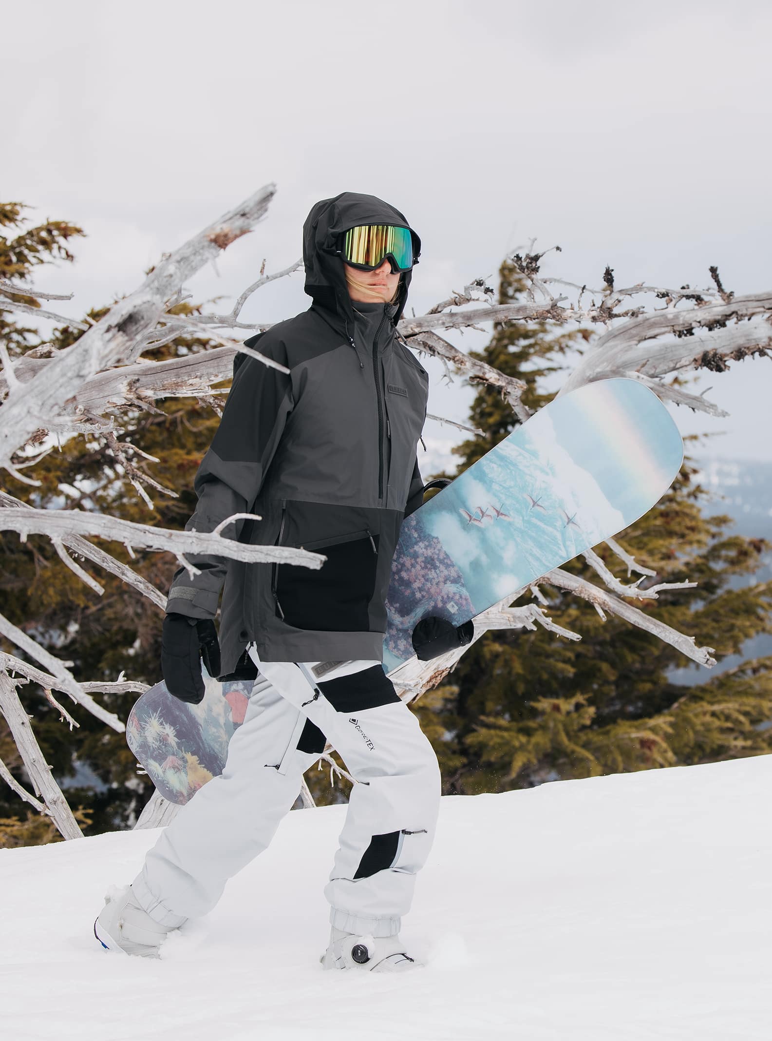 Women's Carbonate GORE-TEX 2L Anorak Jacket | Burton.com Winter