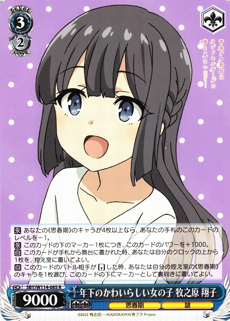 PSA10 謎多き少女 牧之原翔子 sec 世界に28枚 PSA10 謎多き少女 牧之原