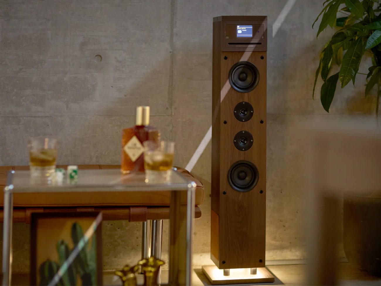 Cactus_1-min.jpg?v=1760081117