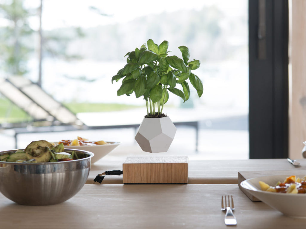 Lyfe Flyte ライフ フライト 浮遊するプランター ホバーリングオブジェ