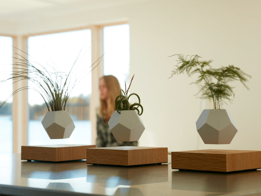 Lyfe Flyte ライフ フライト 浮遊するプランター ホバーリングオブジェ