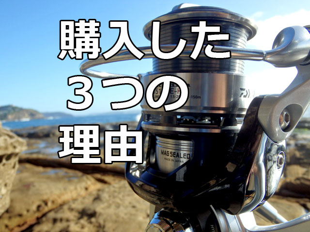 DAIWA12Certateキャタリナ3515PEHS。スプール付本日最終値下済 その他