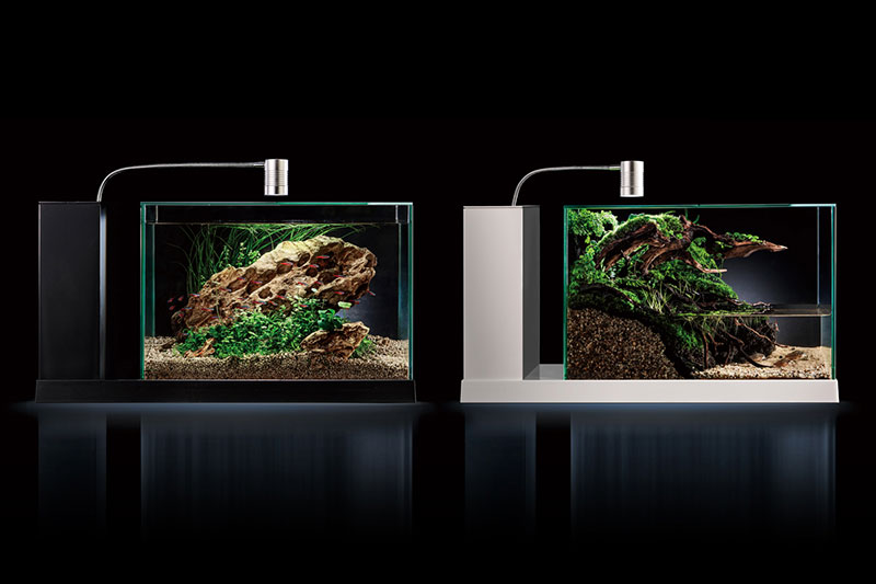 2021-107 GEX aquarista AQUA-U WIDE / 2021グッドアクアリウム