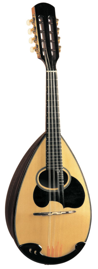 鈴木マンドリン、マンドラの販売～SUZUKI,ENA【ガッキコム】