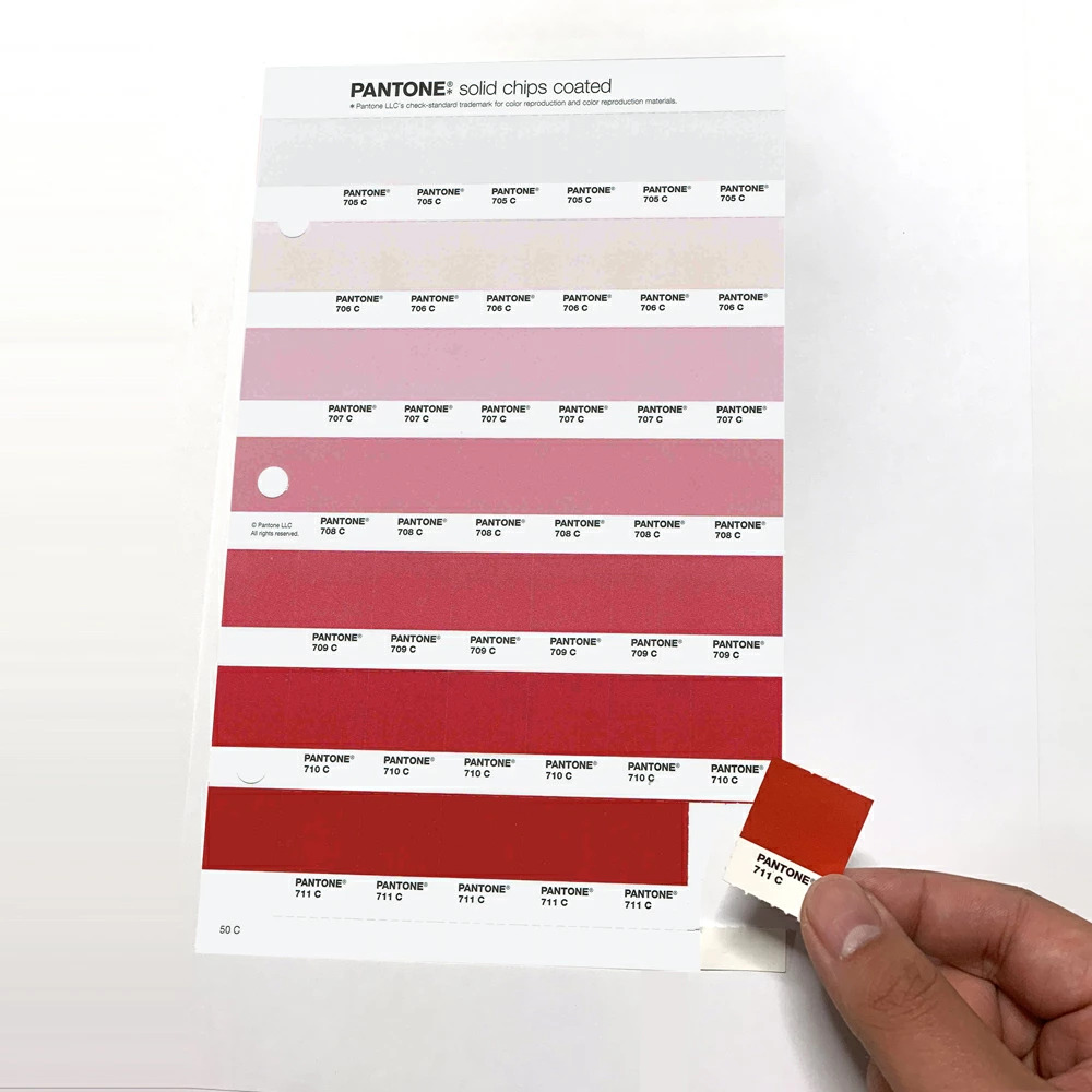 PANTONE ソリッドチップス 差替 コート紙 最新版 色見本のG&E