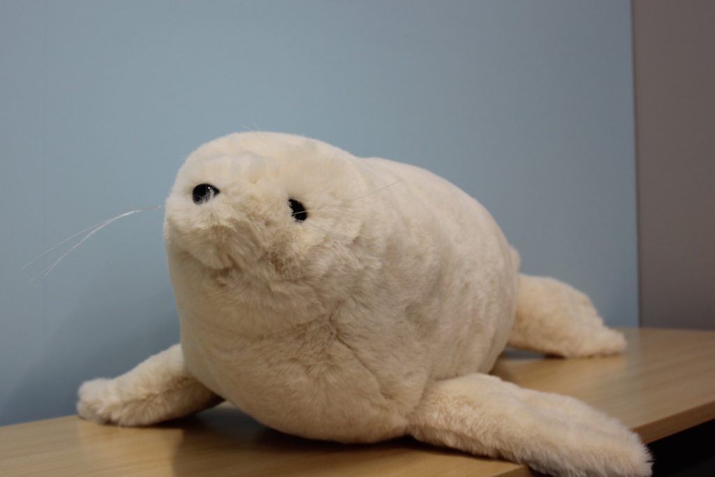 飼育員監修グッズ第8弾（等身大アザラシぬいぐるみ） – 男鹿水族館GAO