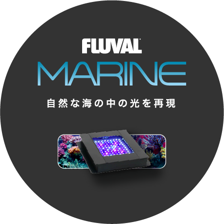 FLUVAL丨アクアリウム用LEDライト丨ジェックス