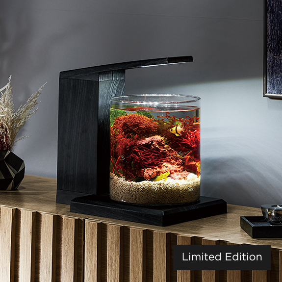 ペルコ 水槽 ブルーライト・蓋付き hiro11pm 他の方、購入禁止 グラス