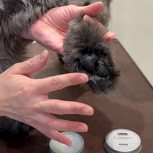 Lumore（ルモア）ホームケアセット【期間限定】 LMRELU72-00 | ルモア