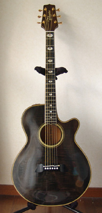Takamine PT-118