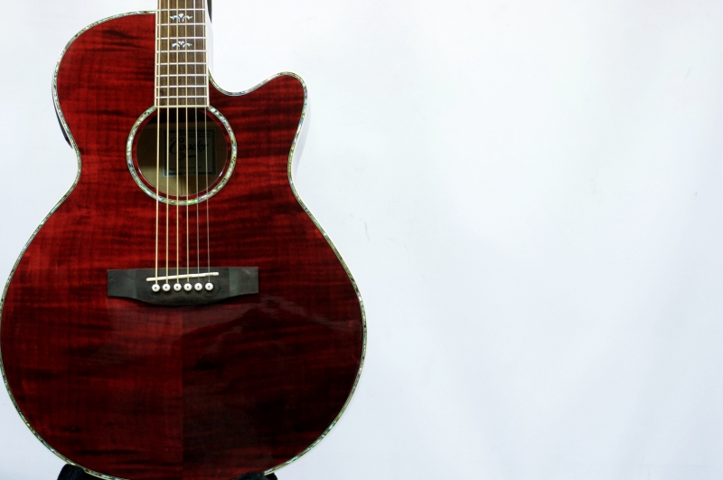 Takamine Cooderエレアコギター大特価‼️ ツバメ11日迄Takamine Cooder