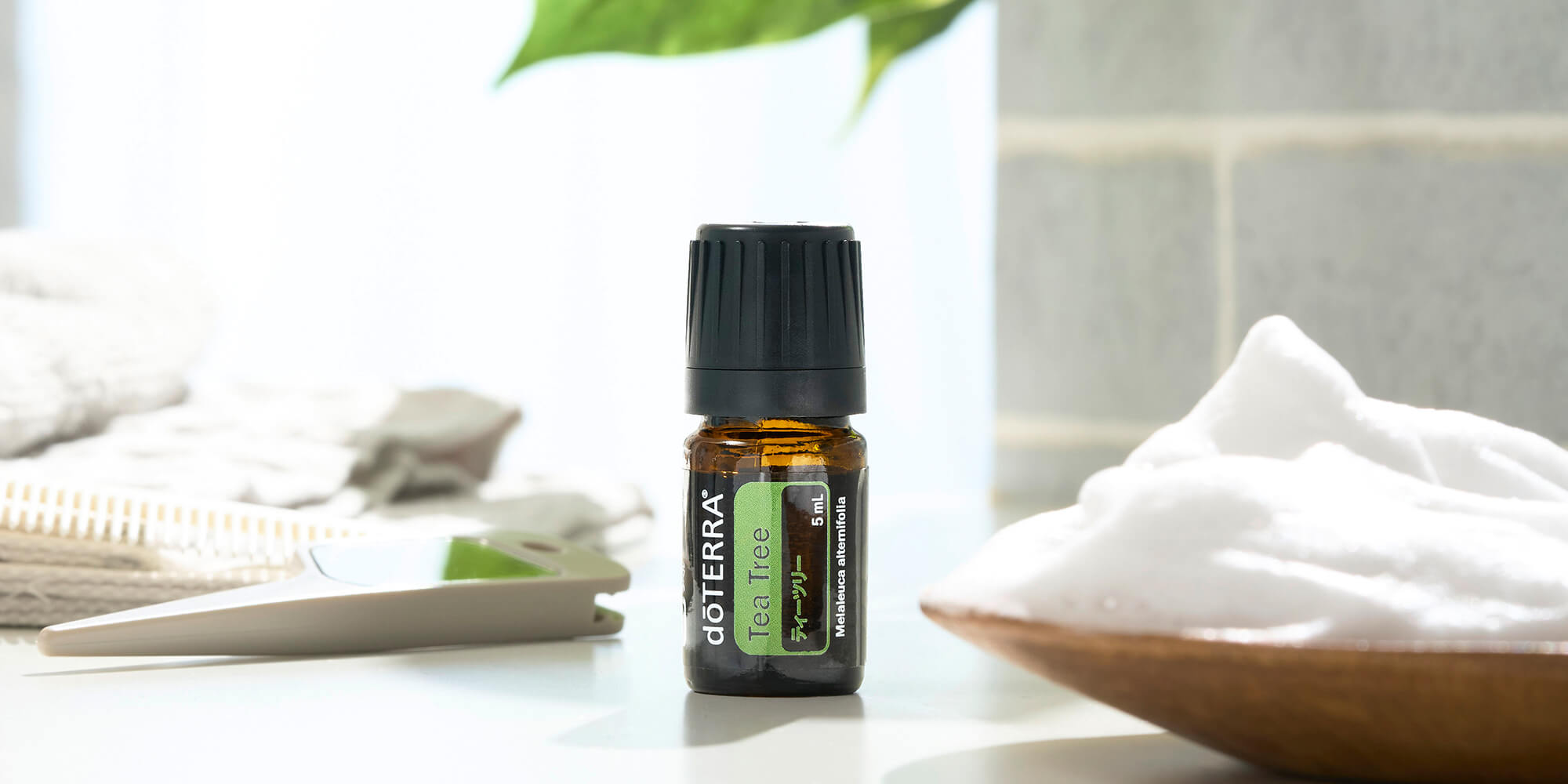 2026年1月のPOM – Product of the Month - doTERRA TIMES