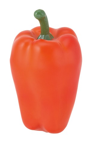 ピーマン(3ケ/パック)（オレンジ）（商品詳細）| 株式会社ドガ