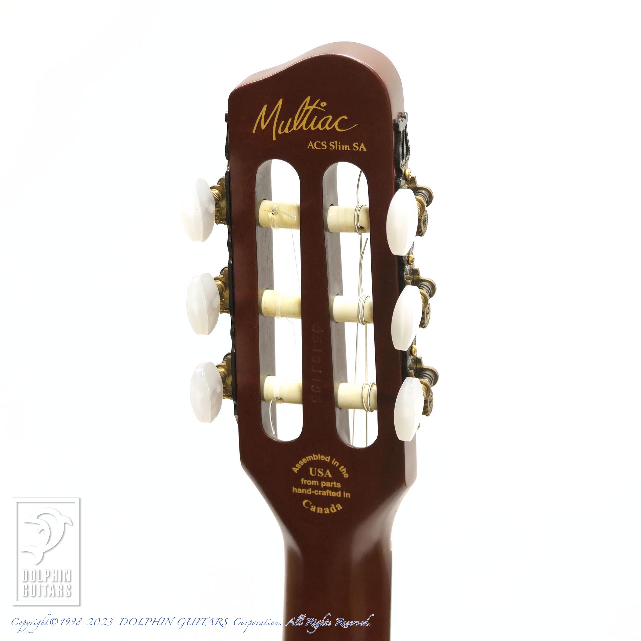 GODIN Multiac ACS Slim SA|ドルフィンギターズ