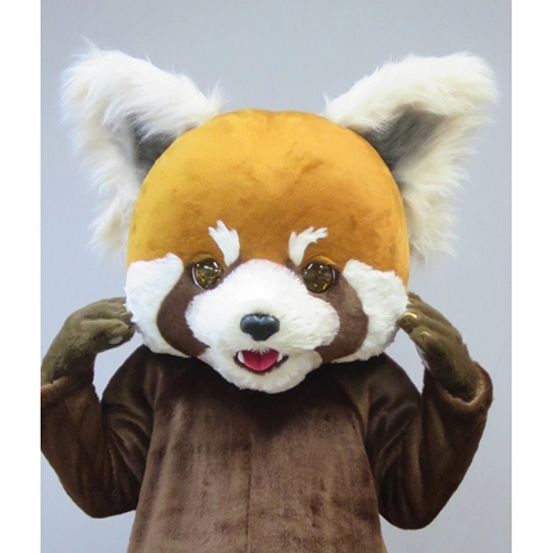 レッサーパンダ 着ぐるみのレンタル | レッサーパンダ 着ぐるみの