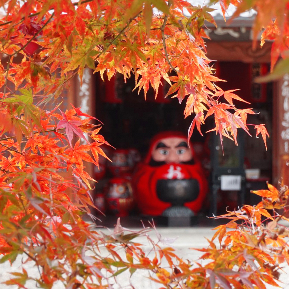 円町 法輪寺（だるま寺）— 臨済宗 妙心寺派