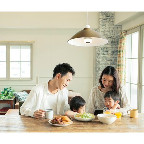 スピーカー付LED電球 LDF11L-G-4S アイリスオーヤマ 電球型