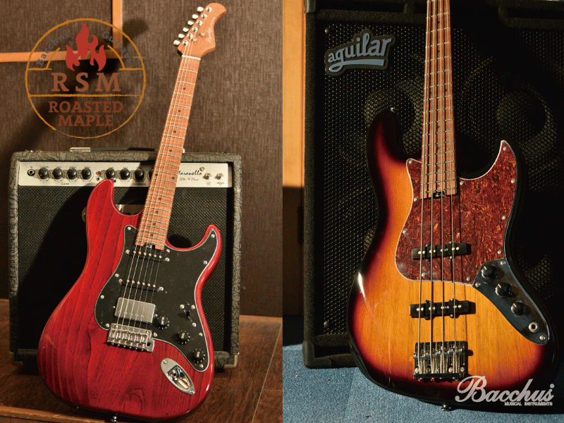 Bacchusローステッドメイプルシリーズに新機種登場！ | Deviser ｜株式