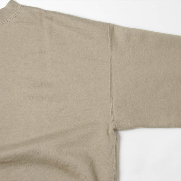 BACK WOOL SWEAT BIG P/O (A7AP01BW) | DIVERSE / カットソー (MEN