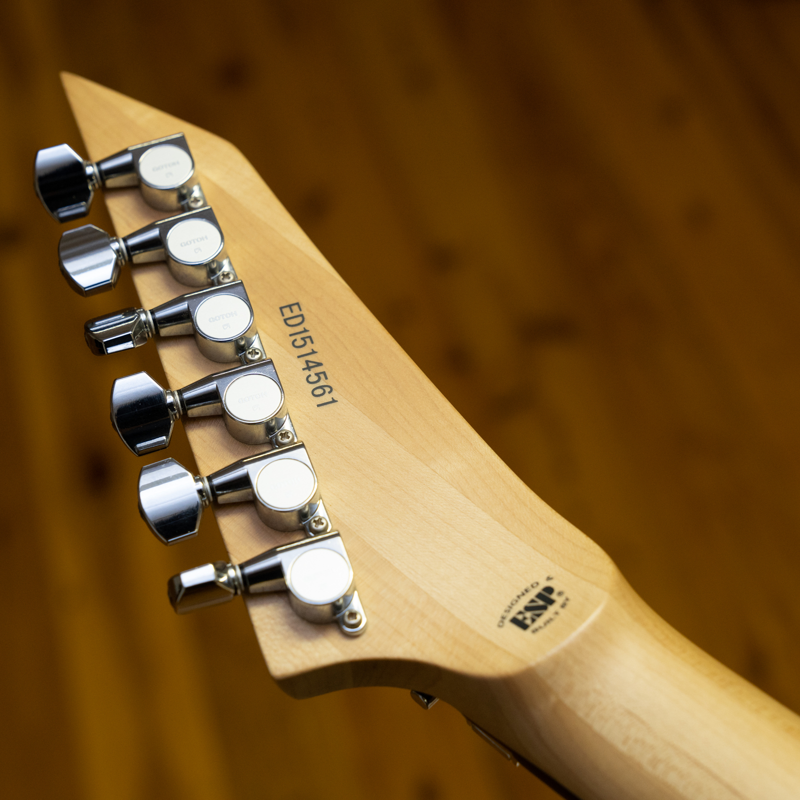 Edwards E-MV-125FR MIJ Maverick 27 Fret (Used)