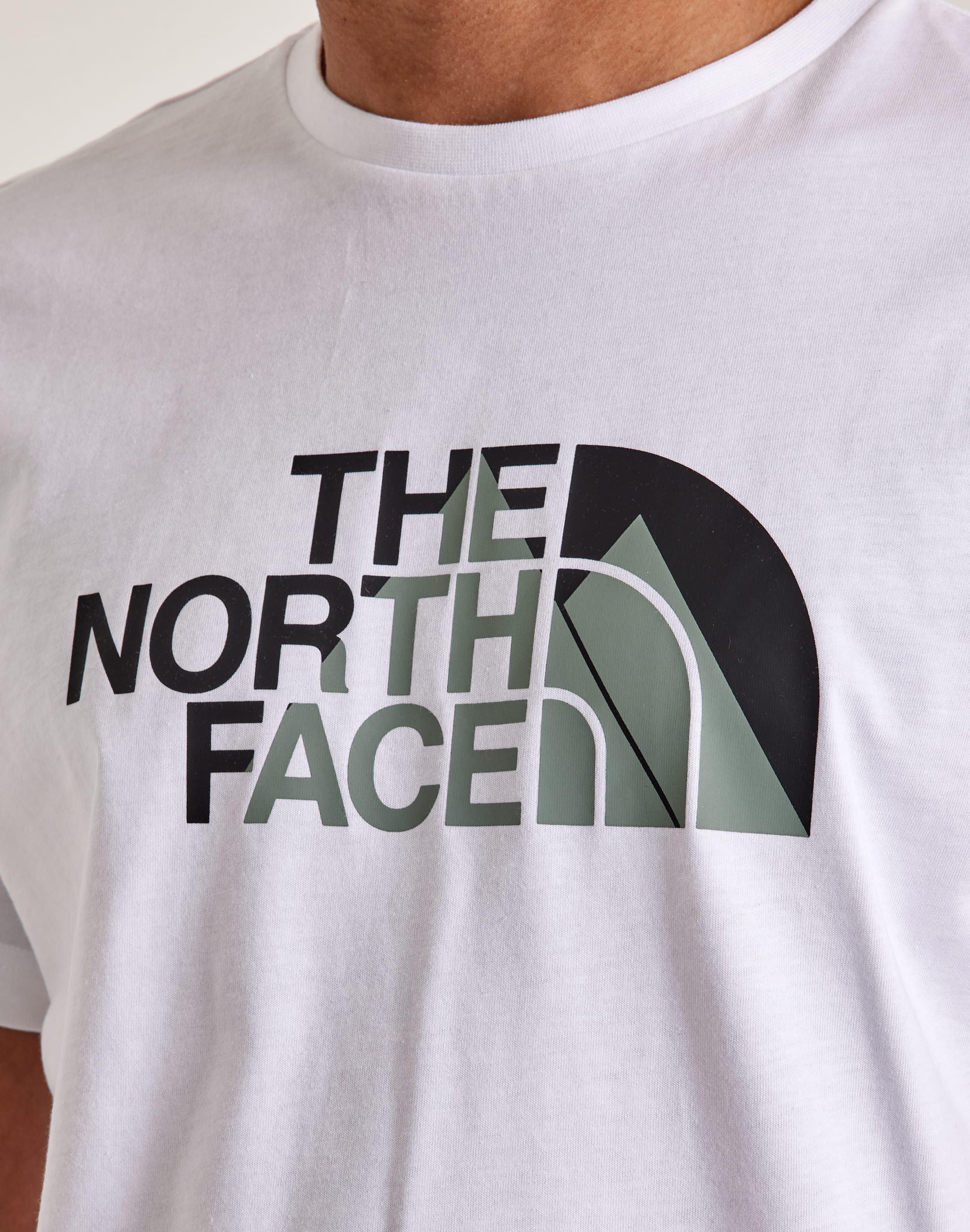 The North Face Graphic Tee – DTLR