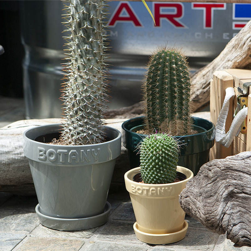 DULTON ONLINE SHOP | BOTANY POT 3 WHITE(3号 WHITE): ガーデン