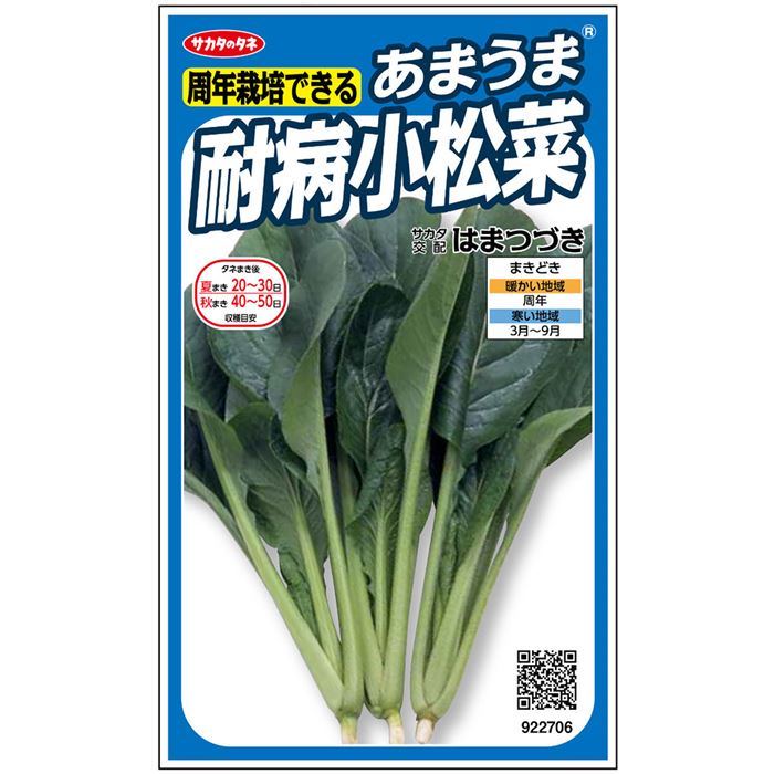 はまつづき[小松菜] - e-種や｜国内最大級の野菜種・花種・苗・農業