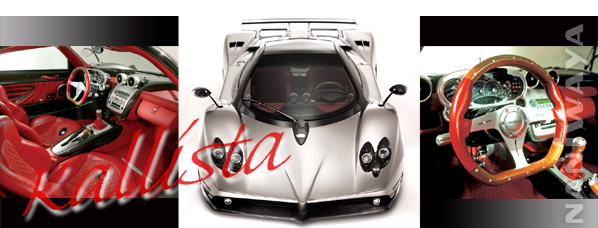 商品詳細 NARDI/ナルディ KALLISTA（カリスタ） 35φ 商品番号：N200