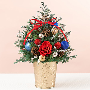 クリスマスリース・スワッグ特集2025】ギフトやご自宅用に｜フラワー