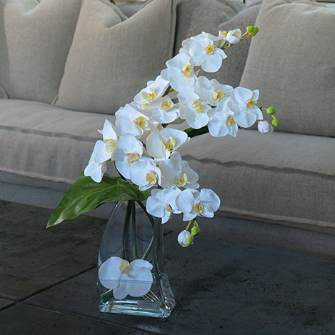 胡蝶蘭(ファレノプシス)のアートフラワー特集|エミリオ・ロバ公式