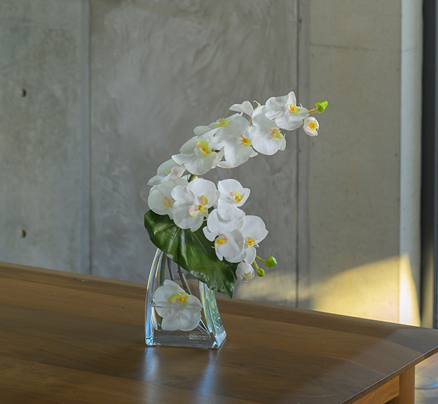 胡蝶蘭(ファレノプシスL) アーティフィシャルフラワー ギフト