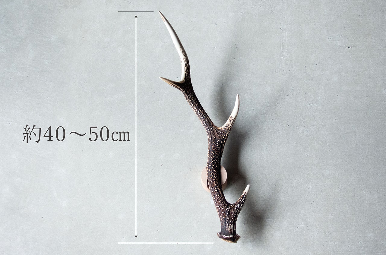 鹿角ウォールフック | 暮らしのあれこれセレクトショップ 縁日