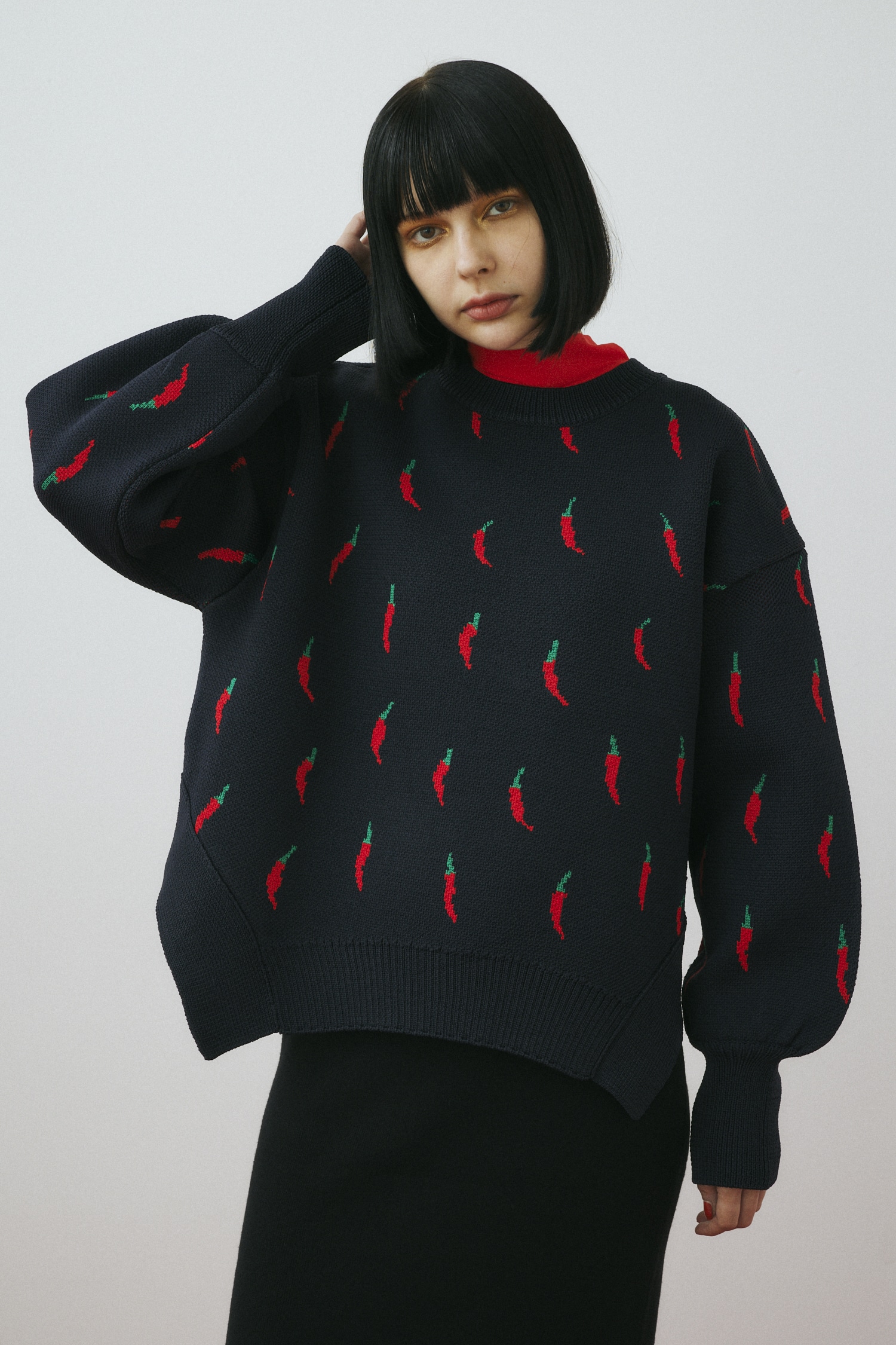 HeRIN.CYE | Chili pattern knit pullover (ニット ) |SHEL'TTER WEBSTORE