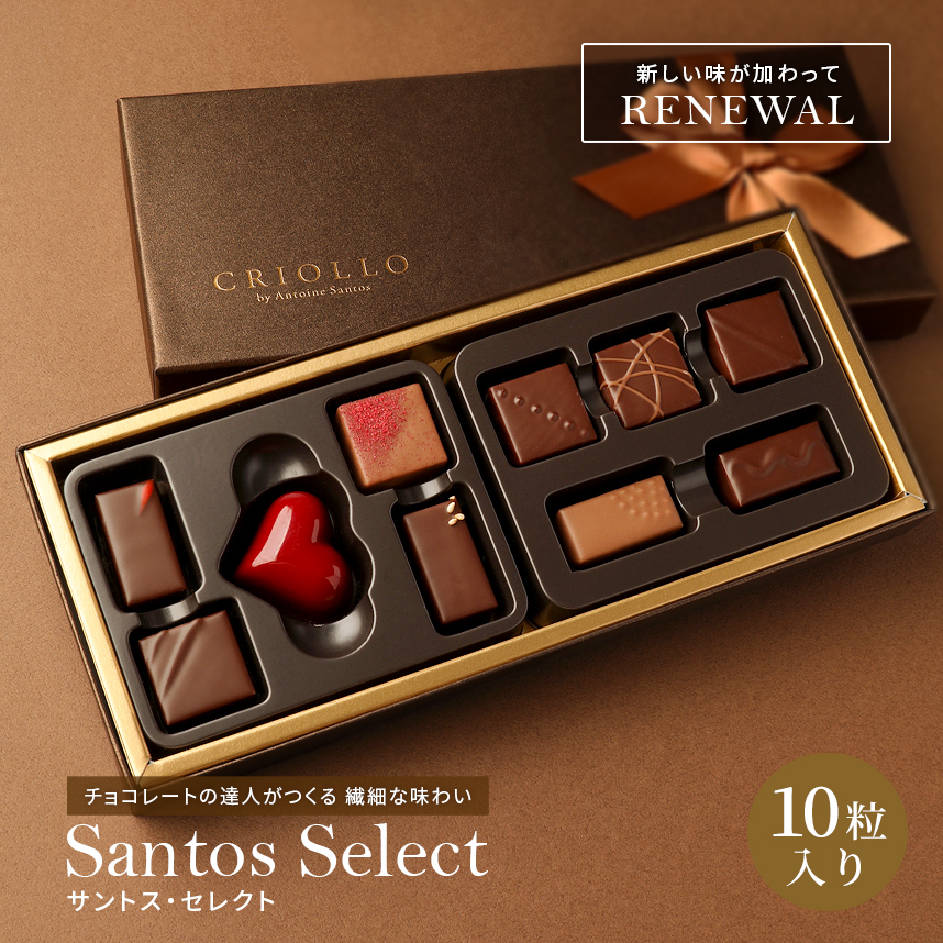 チョコレート】サントス・セレクト ボンボンショコラ 10粒入り詰め合わせ
