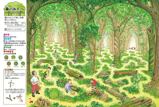 無人島の迷路 | 香川 元太郎,香川 志織 | 1件のレビュー | 全ページ