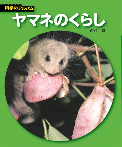 新装版】科学のアルバム－シリーズ | 絵本ナビ：レビュー・通販