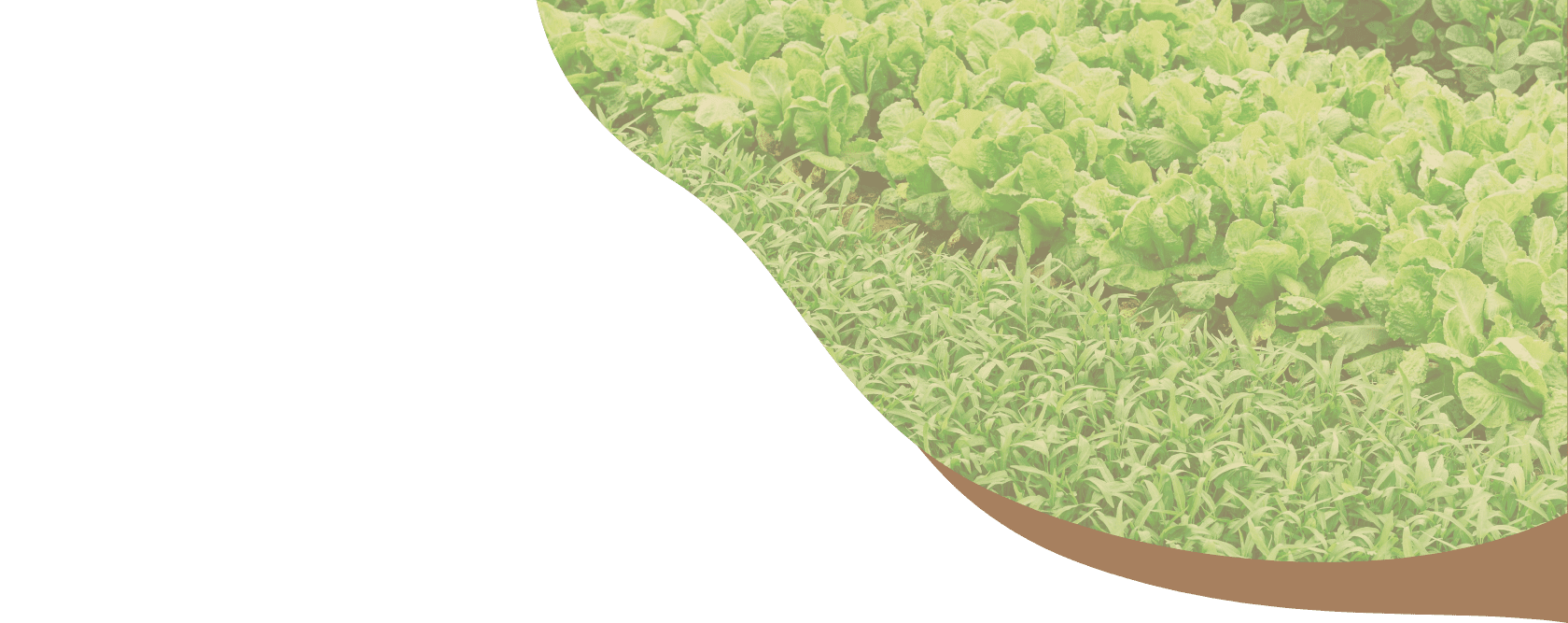 ORGANIC製品一覧（ドッグフード）｜ プレミアムペットフード “ELMO”