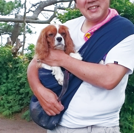 キャバリア | ドッグスリング・犬の抱っこ紐専門ブランド【ERVA/エルバ】