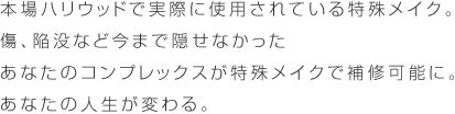 インスタント顔面補修メイク ダーマフラージ | 株式会社アイキャッチは