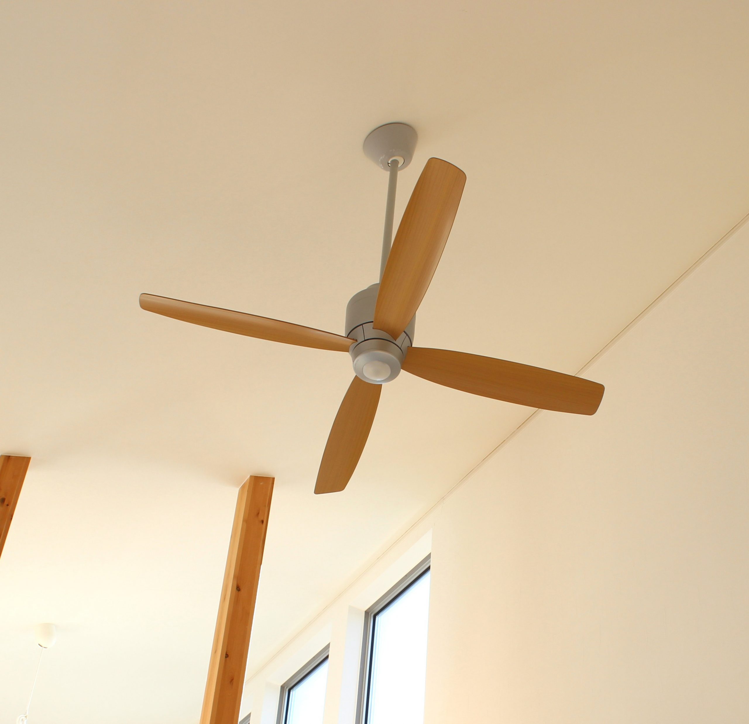 本日お値下げ✩✩✩シーリングファンライト　新品✩2025年6月到着 2025 GW限定セール – <公式>シーリングファン・ライト通販専門店