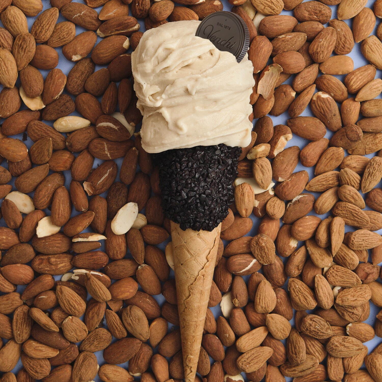 ヴェンキ“月替わり”の新作ジェラート、濃厚クッキー＆カスタード