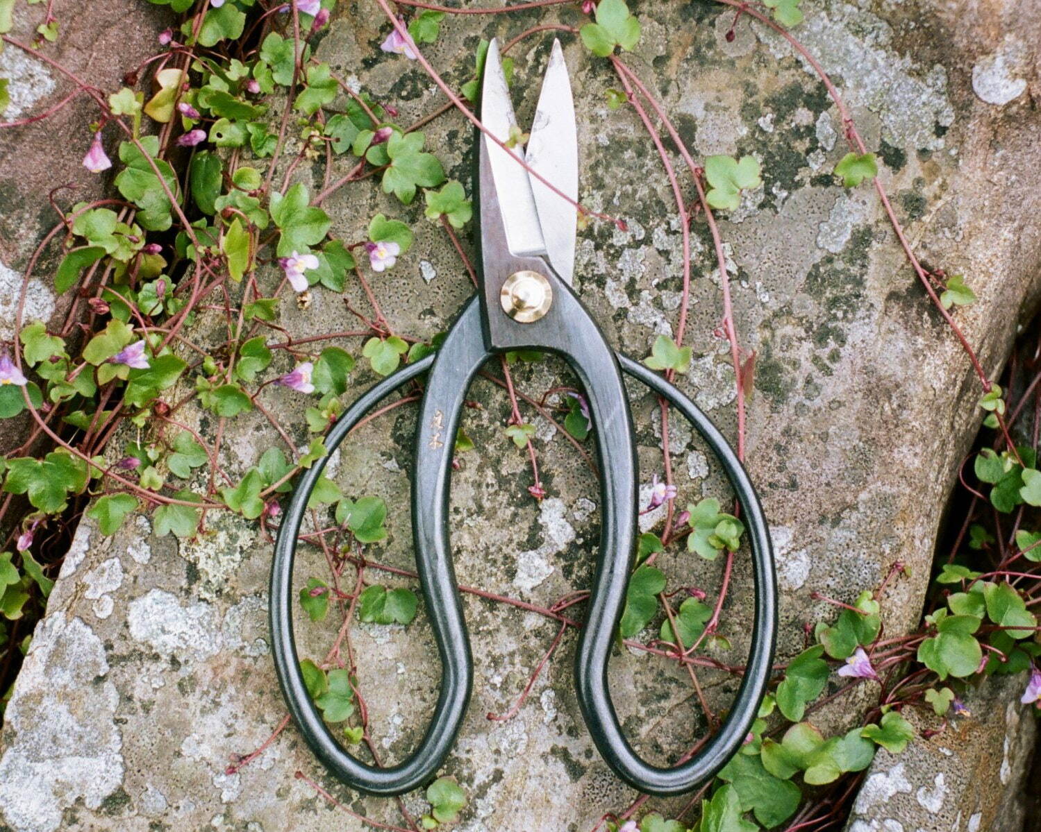 ポール・スミスのレザーケース付き剪定ばさみ、ガーデニング用品