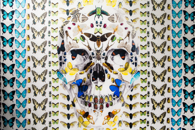 アレキサンダー・マックイーン×ダミアン・ハースト、スカル柄の