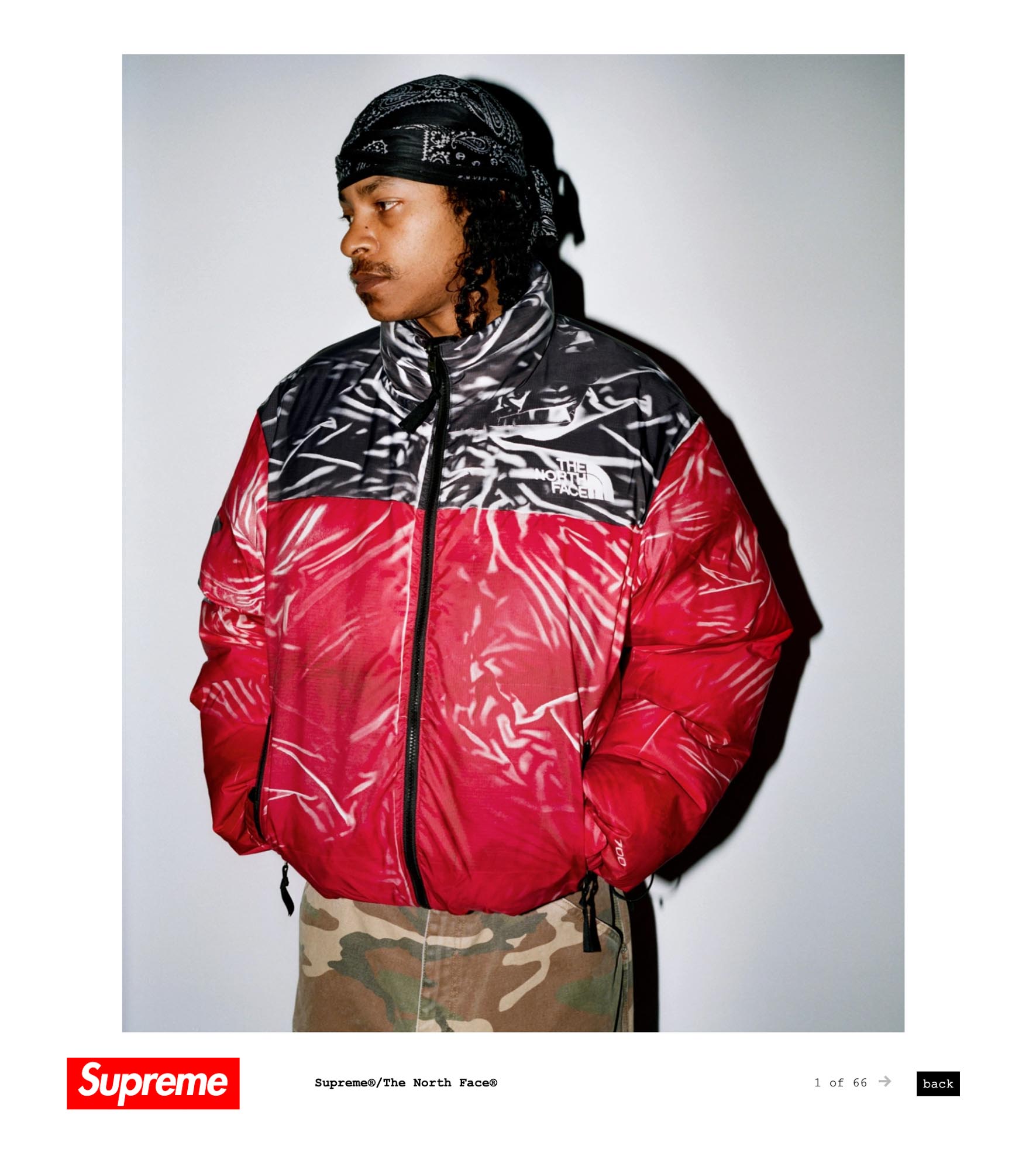 シュプリームとザ・ノース・フェイスがコラボ、騙し絵デザインの