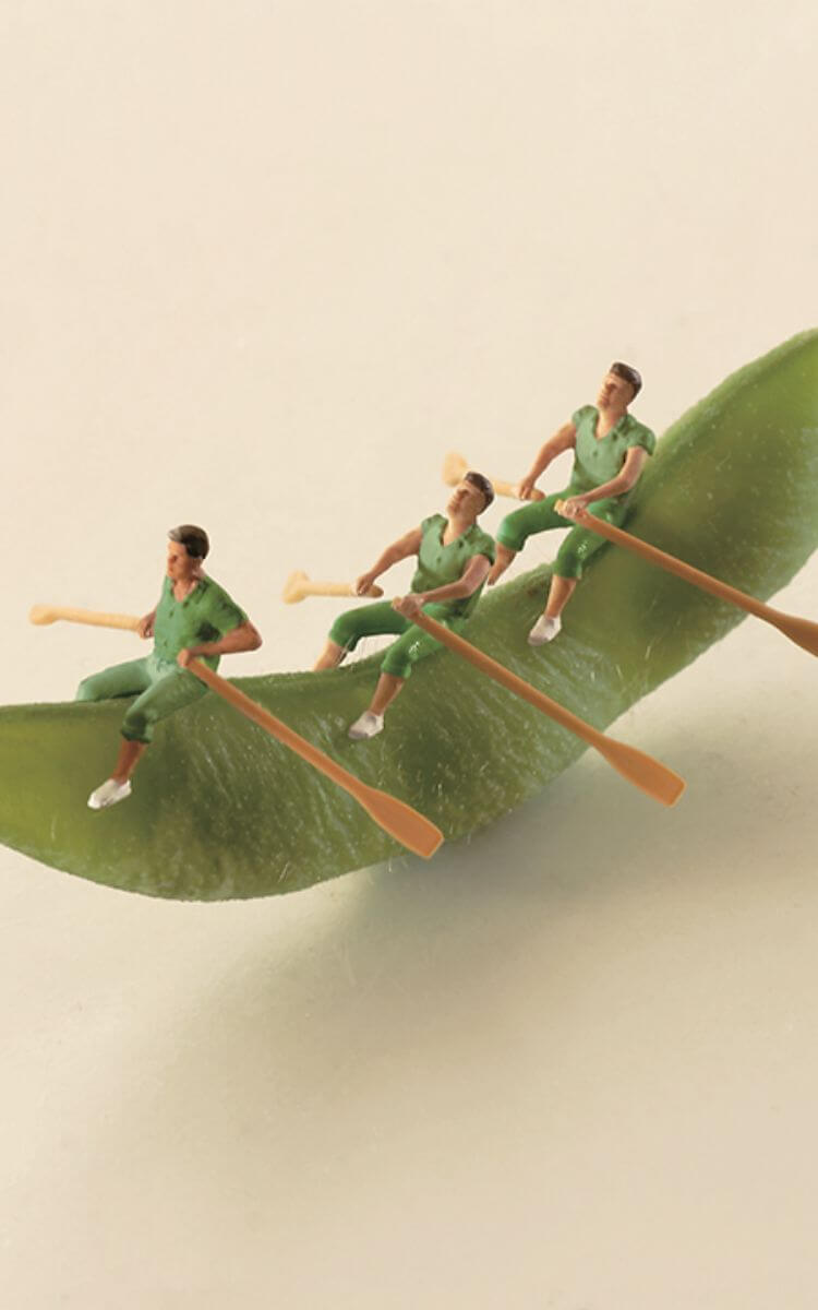 MINIATURE LIFE by tatsuya tanaka presents from felissimo｜フェリシモ